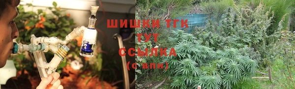 таблы Козельск