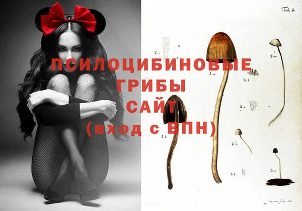 ECSTASY Козловка