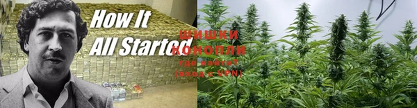 таблы Козельск