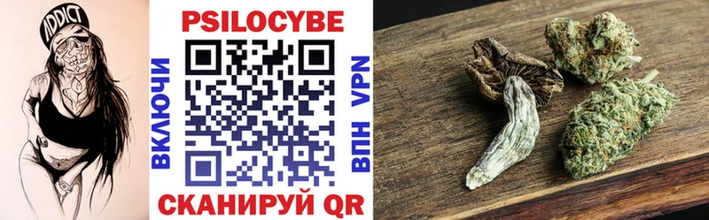 Купить где  Бавлы  Галлюциногенные грибы Psilocybine cubensis 